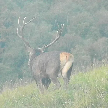 Vakantiehuis Superbe Grange Sur Colline