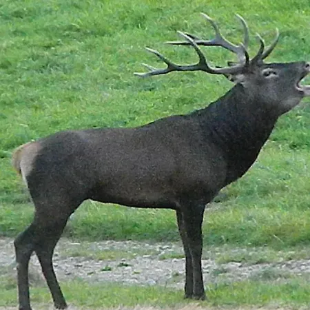 Superbe Grange Sur Colline Hébergement de vacances Asté