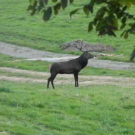 Superbe Grange Sur Colline