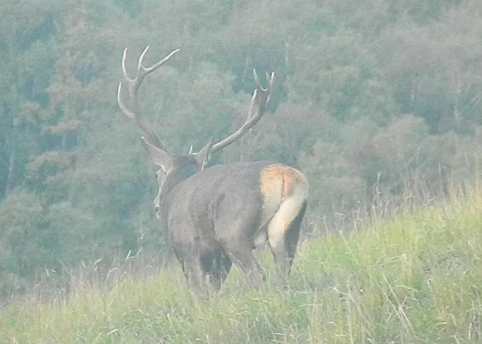 Hébergement de vacances Superbe Grange Sur Colline