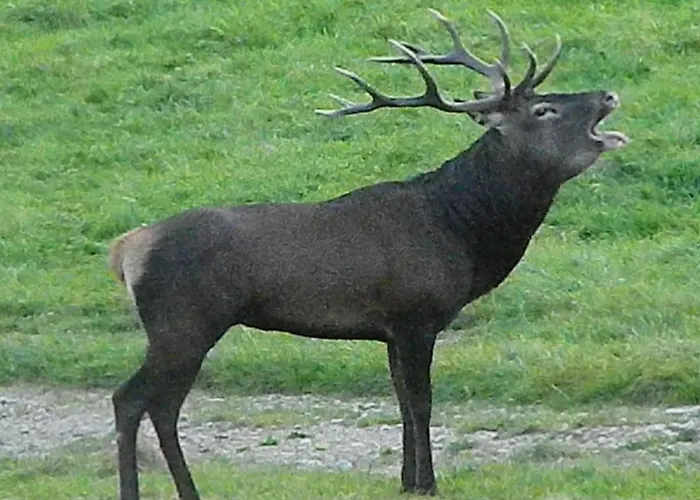 Superbe Grange Sur Colline Hébergement de vacances Asté