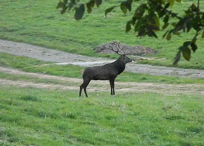 Superbe Grange Sur Colline