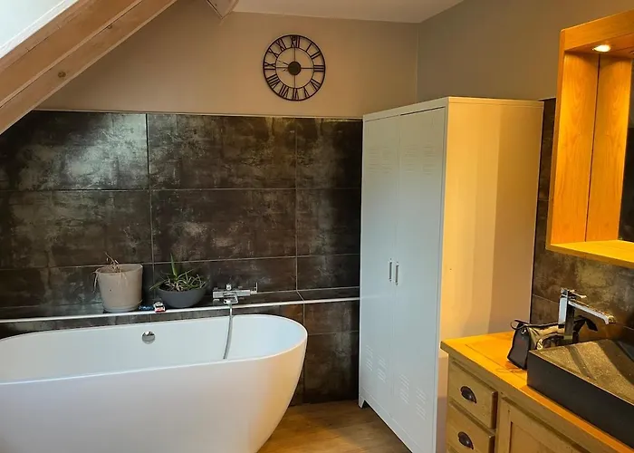 Superbe Grange Sur Colline * Asté